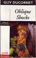 Oblique shocks